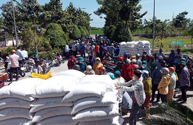 Xuất cấp gạo cho 3 tỉnh Lạng Sơn, Lai Châu, Điện Biên