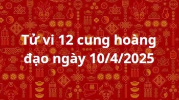 tu vi 12 cung hoang dao hom nay ngay 1042025 su tu tranh dau tu mao hiem