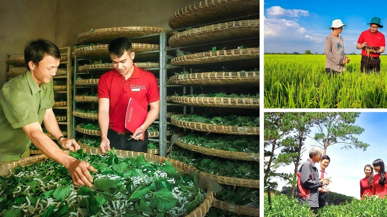 Gỡ 'nút thắt' để hợp tác xã bứt phá