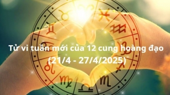 tu vi 12 cung hoang dao tuan moi 214 2742025 ma ket can chu y giao tiep