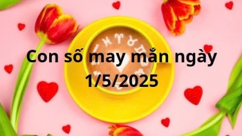 con so may man cua 12 cung hoang dao hom nay ngay 252025