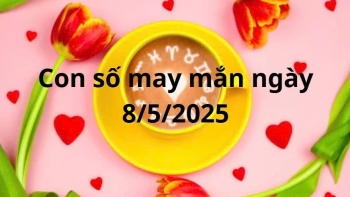 con so may man cua 12 cung hoang dao hom nay ngay 852025