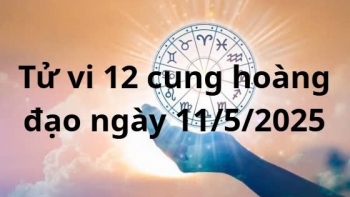 tu vi 12 cung hoang dao hom nay ngay 1152025 bach duong don tin vui chuyen tinh cam
