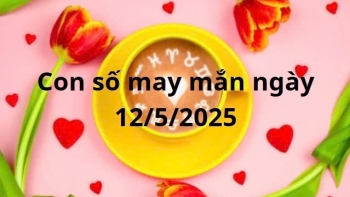 con so may man cua 12 cung hoang dao hom nay ngay 1252025