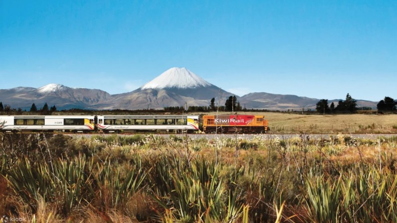 du lich new zealand phuong tien di chuyen pho bien