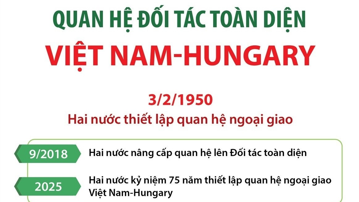 infographics quan he doi tac toan dien giua viet nam va hungary