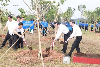 cay huu nghi viet trung xanh tuoi tren dat binh duong