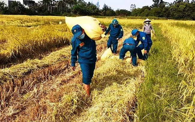 Việt Nam có khả năng tự chủ lương thực ở mức cao