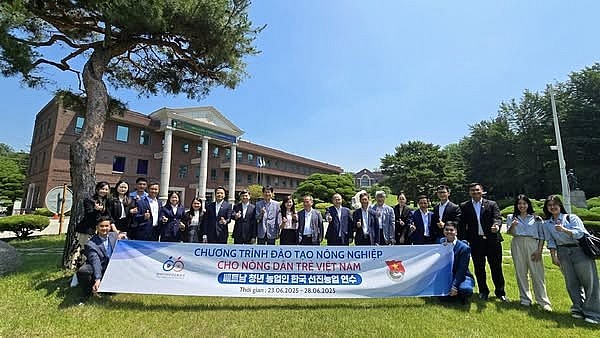 Giao lưu thanh niên nông thôn Việt Nam – Hàn Quốc năm 2025