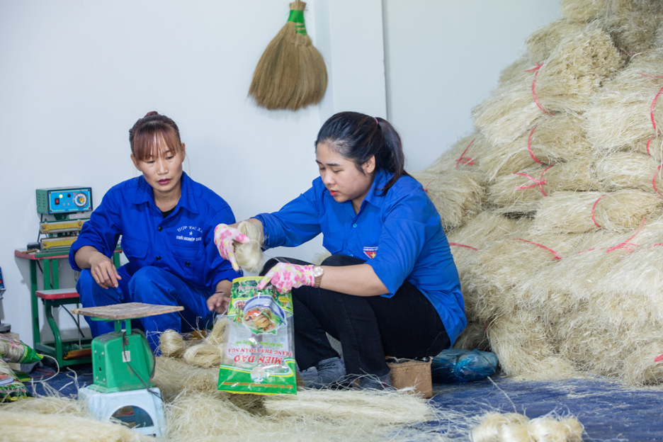 chap canh uoc mo khoi nghiep cho thanh nien viet nam