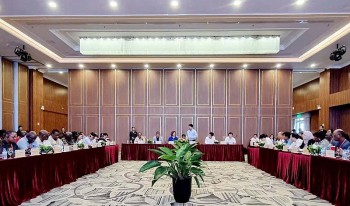 Tổ chức FAO tìm hiểu mô hình phát triển sản phẩm OCOP tại Ninh Bình