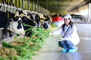 mo khoa tu nhien vinamilk bien rao can thanh vong tuan hoan xanh tai trang trai sinh thai