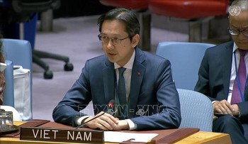 viet nam tai khang dinh ung ho giai phap hai nha nuoc tai hoi nghi quoc te ve van de palestine