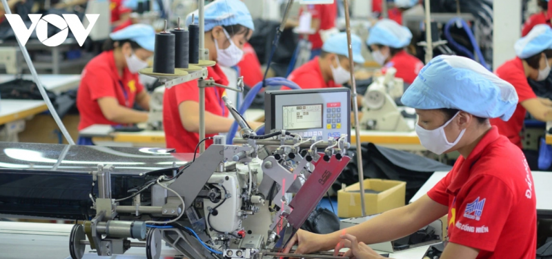 Mỹ áp thuế đối ứng 20%: Doanh nghiệp Việt thay đổi mô hình xuất khẩu để thích nghi