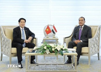 Truyền thông Trung Đông đánh giá tích cực triển vọng hợp tác Việt Nam và Ai Cập