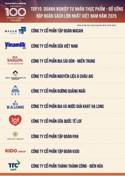 Top 10 Công ty tư nhân Thực phẩm - Đồ uống nộp ngân sách lớn nhất Việt Nam