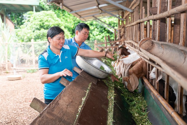 Hỗ trợ 16.000 phụ nữ và cộng đồng dân tộc thiểu số tại Đắk Lắk cải thiện sinh kế