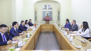 nhieu de xuat hop tac nham thuc day ngoai giao nghi vien va doi ngoai nhan dan viet nam brazil