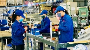 kinh te tu nhan dong luc but pha va khat vong vuon tam