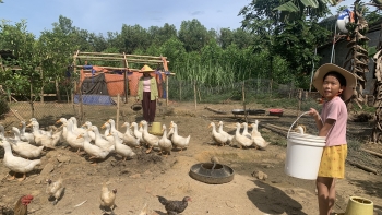 Hợp tác World Vision - Mavin: Giúp người dân đổi đời từ đàn vịt