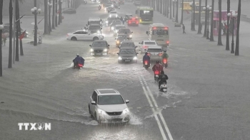 thoi tiet hom nay 259 ha noi co mua vua mua to