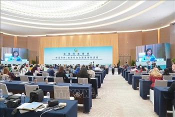 viet nam chia se kinh nghiem binh dang gioi tai hoi nghi cac nha lanh dao toan cau ve phu nu