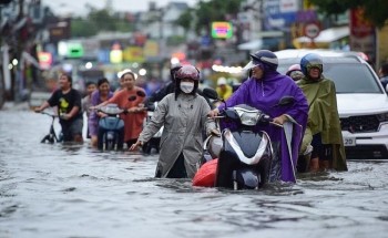 nhe ganh au lo nho co mb bao ve nguon thu nhap mua bao