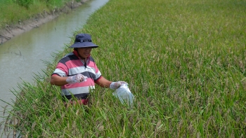 wviv va australia giup nong dan mekong thich ung bien doi khi hau