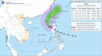 bao so 14 fung wong quan thao bien dong