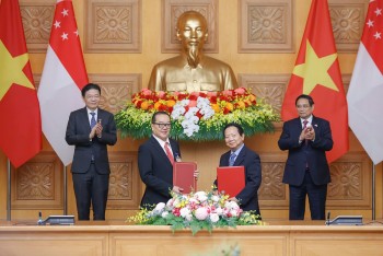 ngoai giao kinh te goc nhin tu hoat dong cua hoi huu nghi viet nam singapore