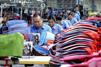 mo rong hop tac cap dia phuong thuc day giao thuong giua viet nam bulgaria