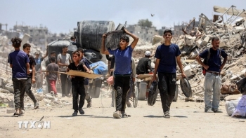 dien cua chu tich nuoc nhan ngay quoc te doan ket voi nhan dan palestine