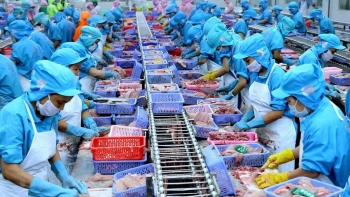 brazil mo canh cua thuong mai uu dai cho viet nam tai mercosur