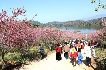 nhieu hoat dong phong phu tai le hoi hoa anh dao xa muong phang dien bien
