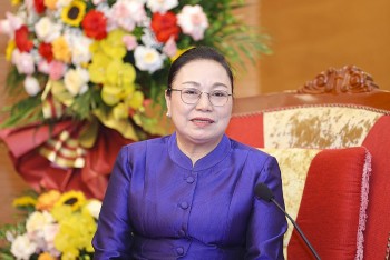 dai su lao tai viet nam tin tuong dai hoi xiv se dua viet nam buoc vao giai doan phat trien nhanh va ben vung