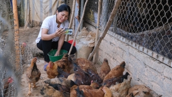 hoc cach phat trien sinh ke ben vung o vung cao