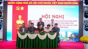 gan 500 tau ca da nang ky cam ket chong khai thac iuu