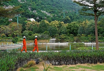 nganh dien mien nam san sang cac phuong an dam bao cap dien on dinh dip tet nguyen dan