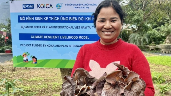 Mô hình trồng nấm giúp phụ nữ Vân Kiều tăng thu nhập