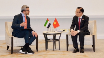 viet nam phoi hop cac nuoc tai thiet dai gaza trong khuon kho hoi dong hoa binh