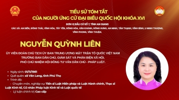 infographic ba nguyen quynh lien ung cu dai bieu quoc hoi tai tinh an giang