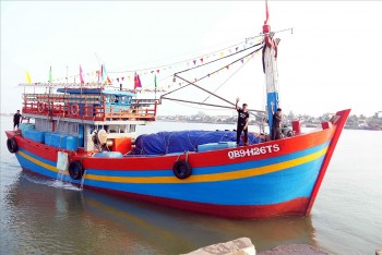 ec se lam viec tai viet nam tu 9 193 ve iuu