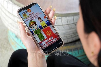 vneid ho tro cu tri tra cuu khu vuc bo phieu va danh sach ung cu vien