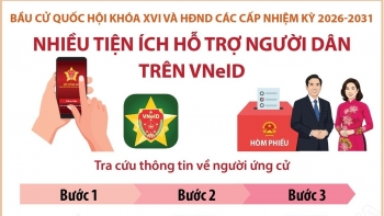 infographic bau cu quoc hoi va hdnd cach tra cuu thong tin ve nguoi ung cu tren vneid