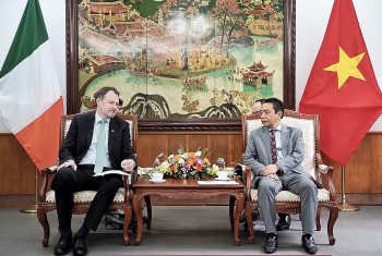 30 nam quan he viet nam ai len mo ra chuong moi cho hop tac van hoa