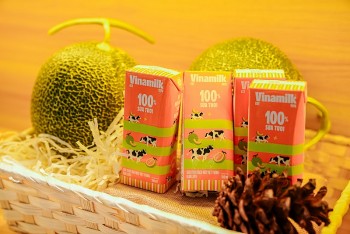 vinamilk bao doanh thu quy 1 nam 2026 tang 246 so voi cung ky