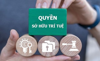 thuc hien quyet liet cac giai phap dau tranh ngan chan xu ly hanh vi xam pham quyen so huu tri tue