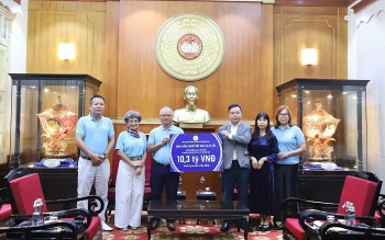 nhip noi dong bao