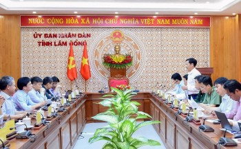 evngenco1 de xuat dau tu 3 du an dien mat troi noi tai lam dong