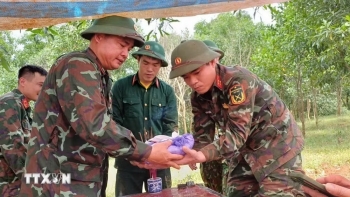 co che dac thu xac dinh danh tinh hai cot liet si bang phuong phap giam dinh adn